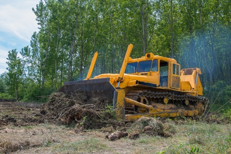 ¿Por qué es esencial limpiar y desbrozar el terreno antes de construir?